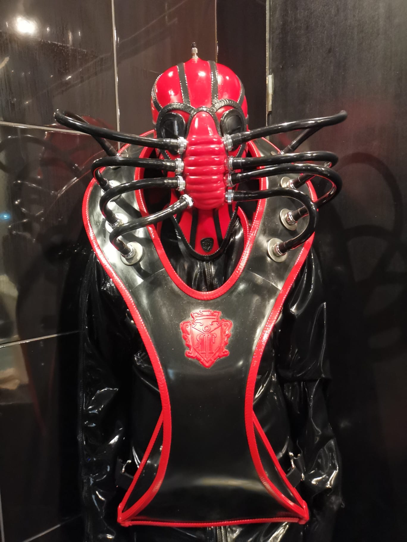 31488ab8-dc2e-4379-adea-d72d49371ec6